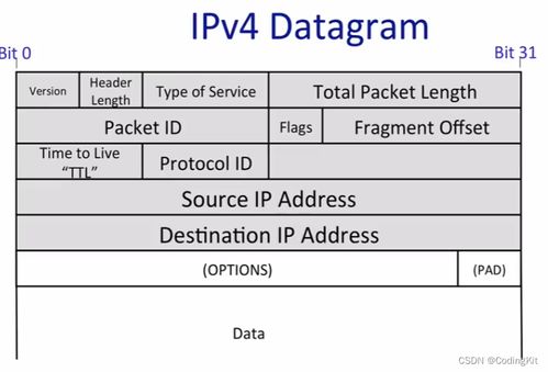 计算机网络服务模型 网络层与IP服务的核心架构