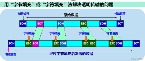 计算机网络