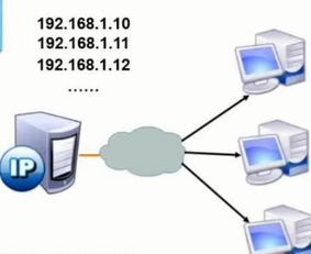 软考自查 计算机网络服务详解